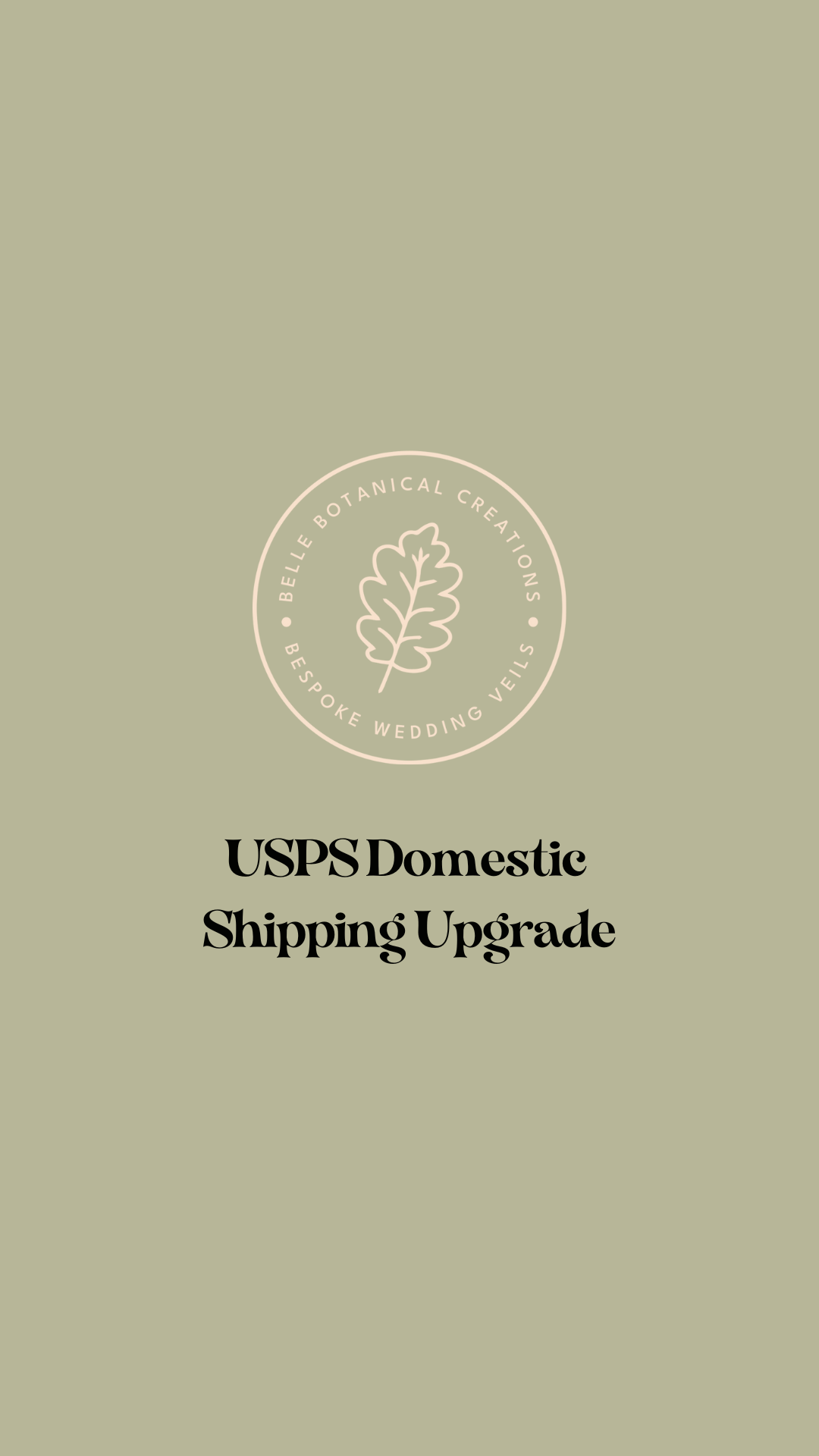 USPS Domestic Shipping add-on | upgrade current order