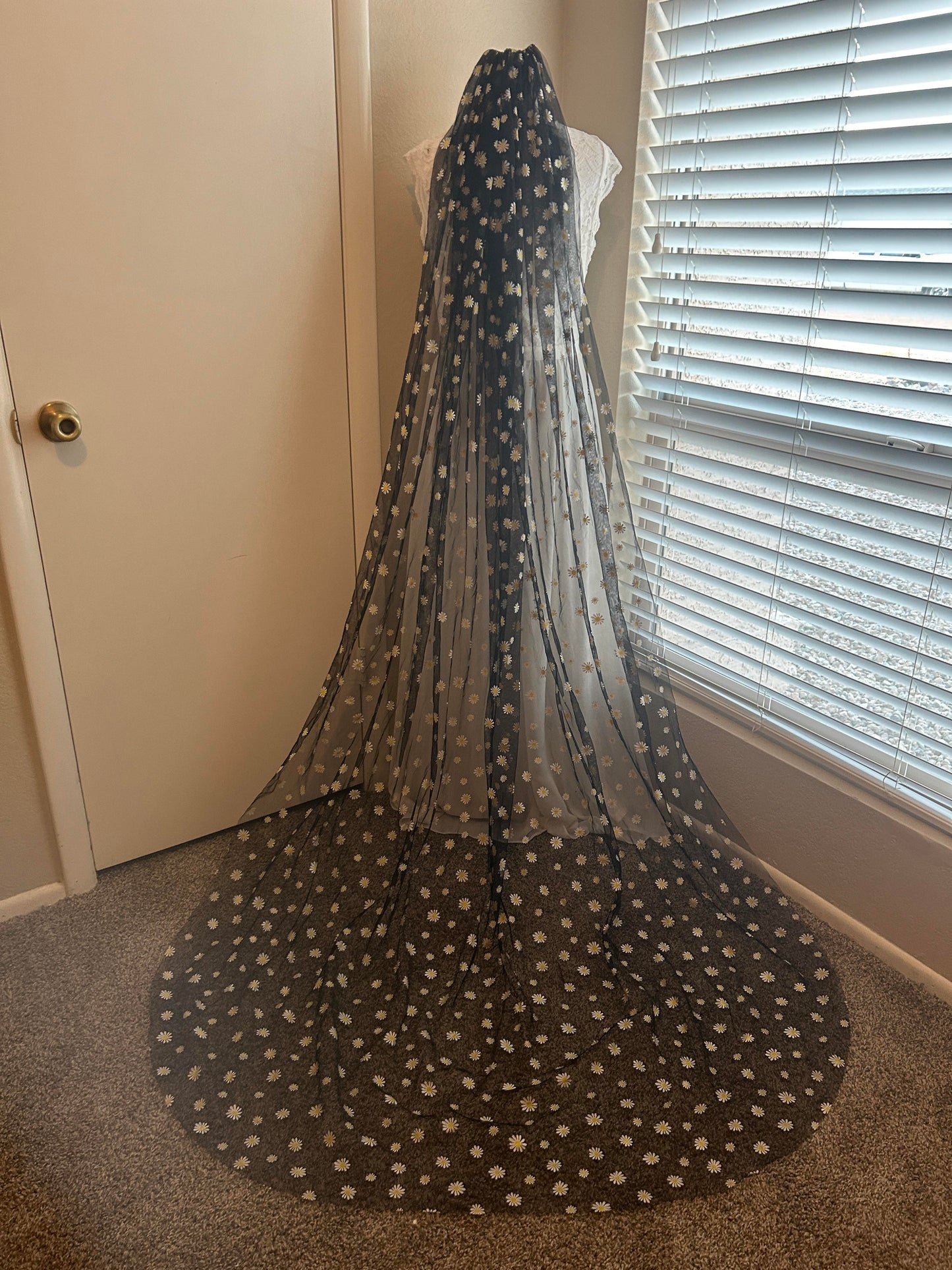 Daisies (Clearance/Final Sale)