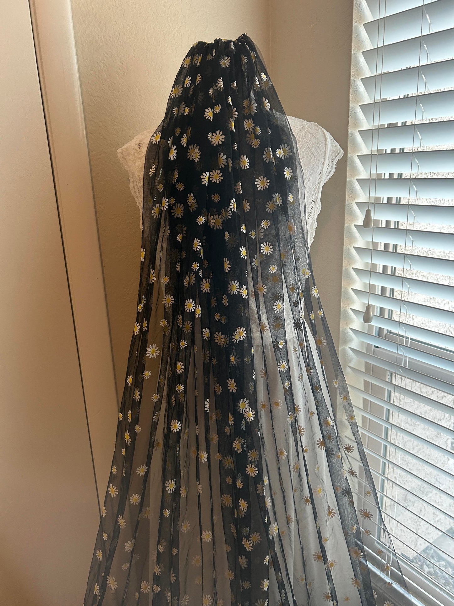 Daisies (Clearance/Final Sale)