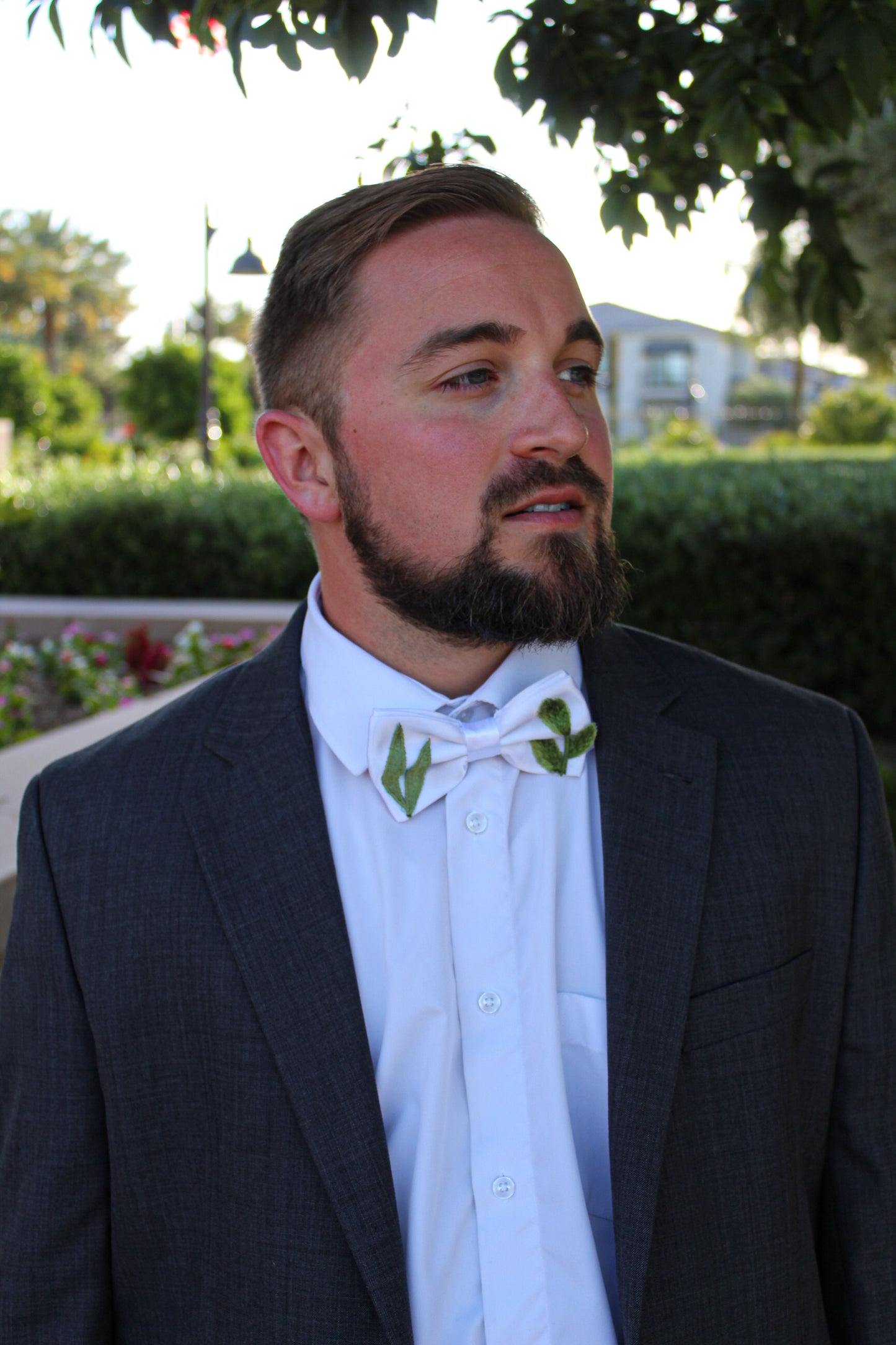 Evermore Bow | Greenery Tie
