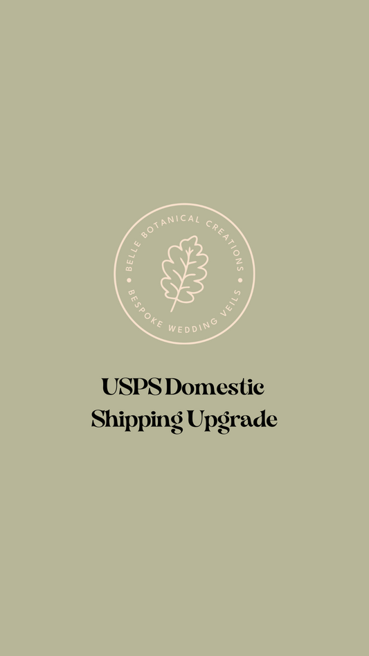 USPS Domestic Shipping add-on | upgrade current order