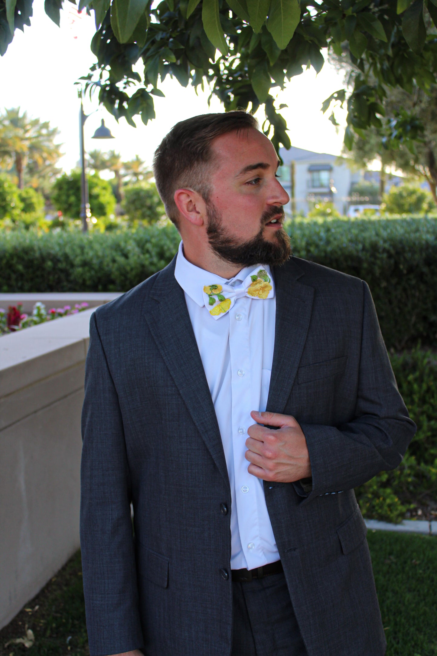 Sunrise Blvd Bow Tie