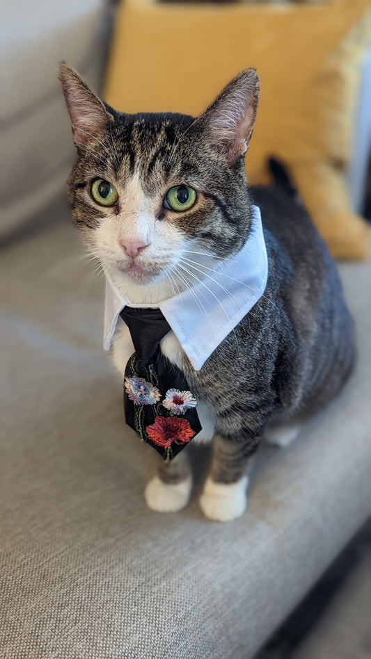 Wildflower Pet Tuxedo Tie
